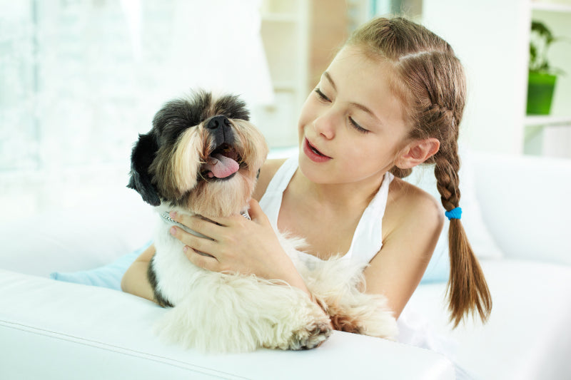 Small dog breeds that are good with kids
